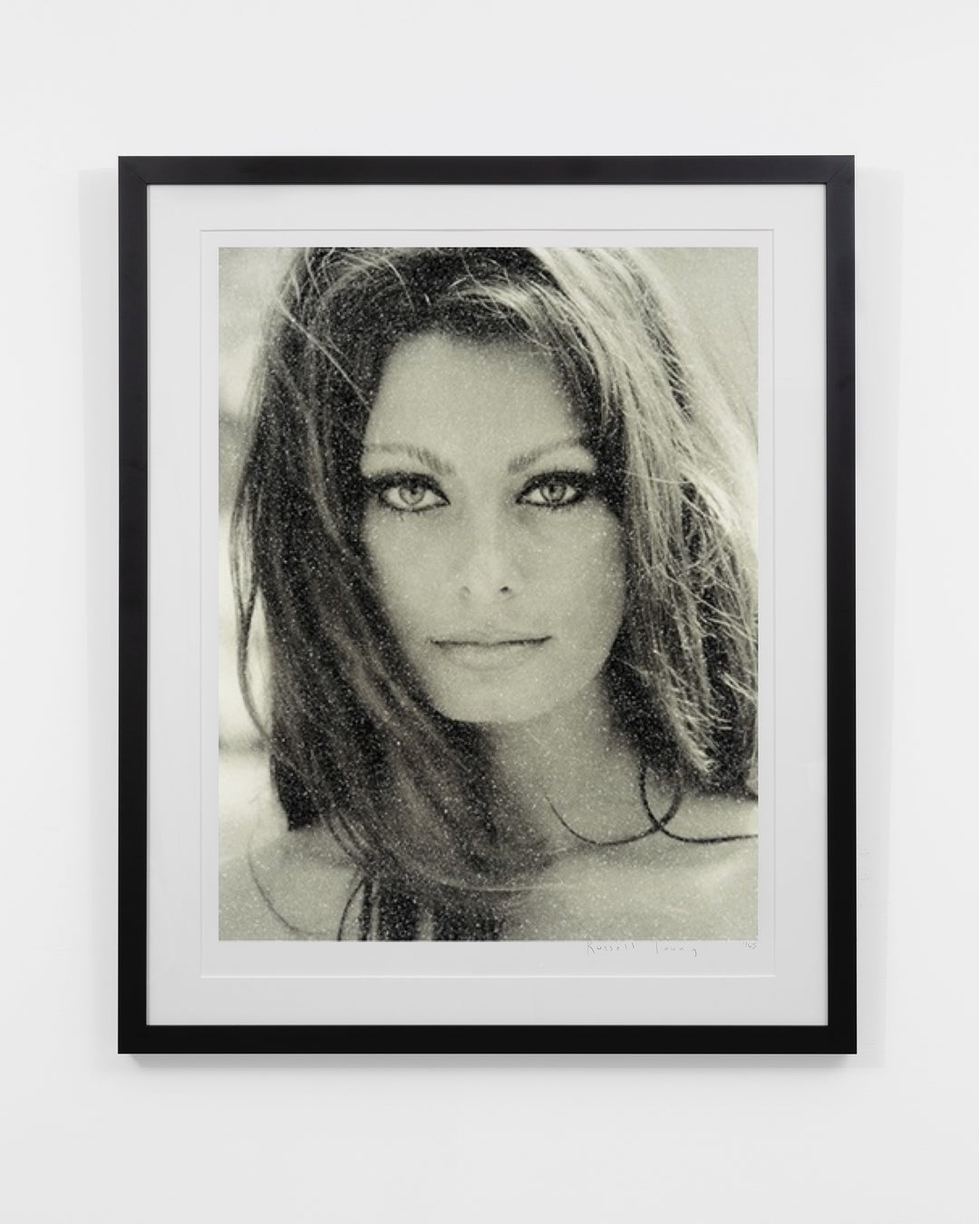 "Sophia on Paper" by Russell Young