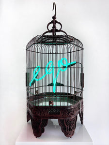 "Ego (Birdcage) - Blue" by Olivia Steele