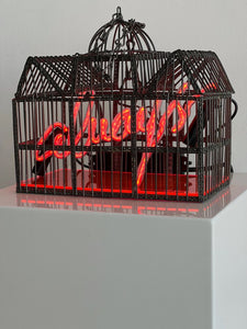 "Always (Birdcage)" by Olivia Steele