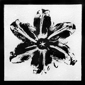 "Power Flower, Black on White" by Rubem Robierb