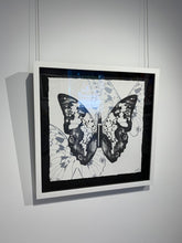 Load image into Gallery viewer, &quot;Metamorphosis, Black Butterfly on White&quot; by Rubem Robierb