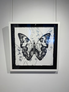 "Metamorphosis, Black Butterfly on White" by Rubem Robierb