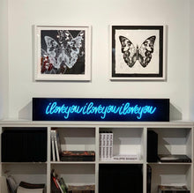 Load image into Gallery viewer, &quot;Metamorphosis, White Butterfly on Black&quot; by Rubem Robierb