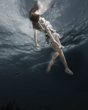 Load image into Gallery viewer, &quot;Arrival&quot; by Barbara Cole