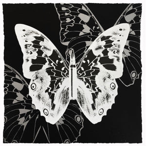 "Metamorphosis, White Butterfly on Black" by Rubem Robierb